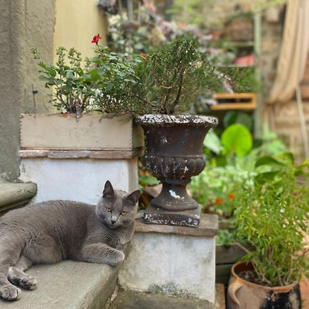 La Magione Dei Todaro Borgo a Buggiano Zewnętrze zdjęcie